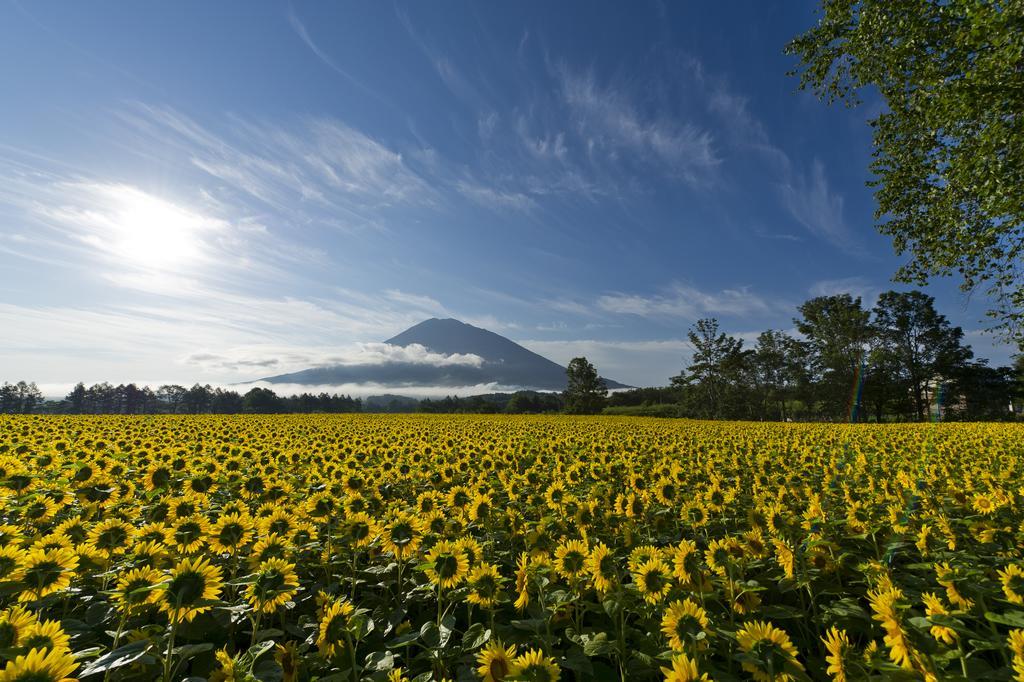 Kimamaya By Odin Hotel Niseko Exterior photo